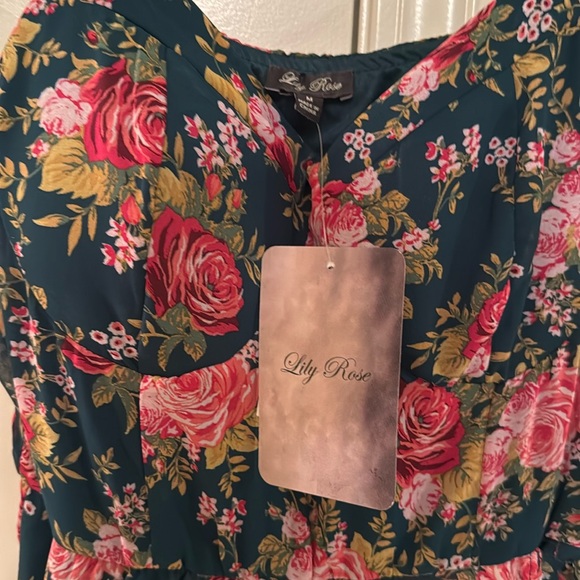 Lily Rose. Hi-Low Dress. Medium. NWT - Picture 4 of 5